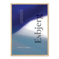 Esbjerg plakat - gave byplakat